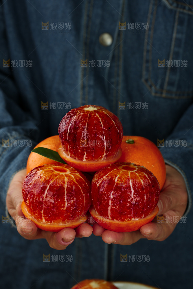 塔罗科血橙