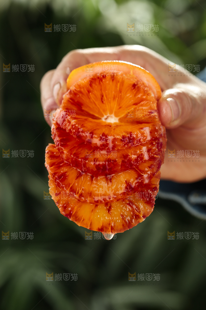 塔罗科血橙