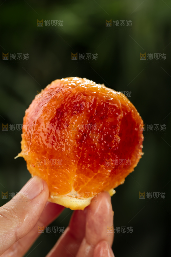 塔罗科血橙