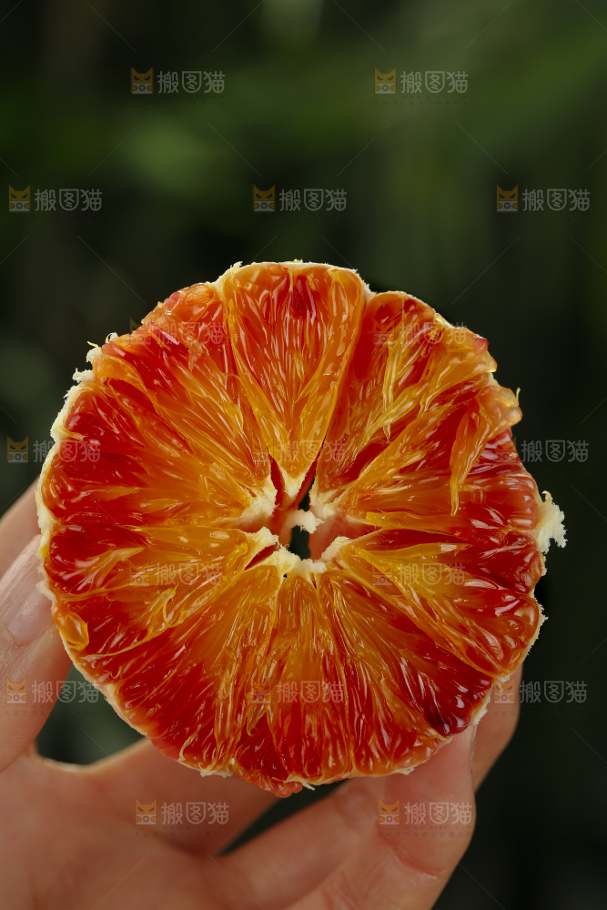 塔罗科血橙