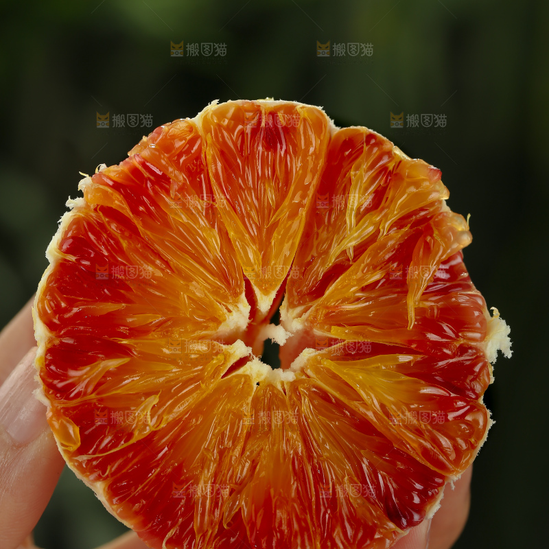 塔罗科血橙