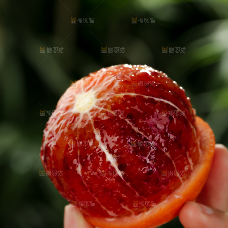 塔罗科血橙