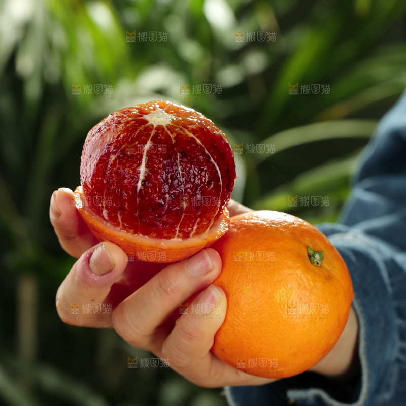 塔罗科血橙