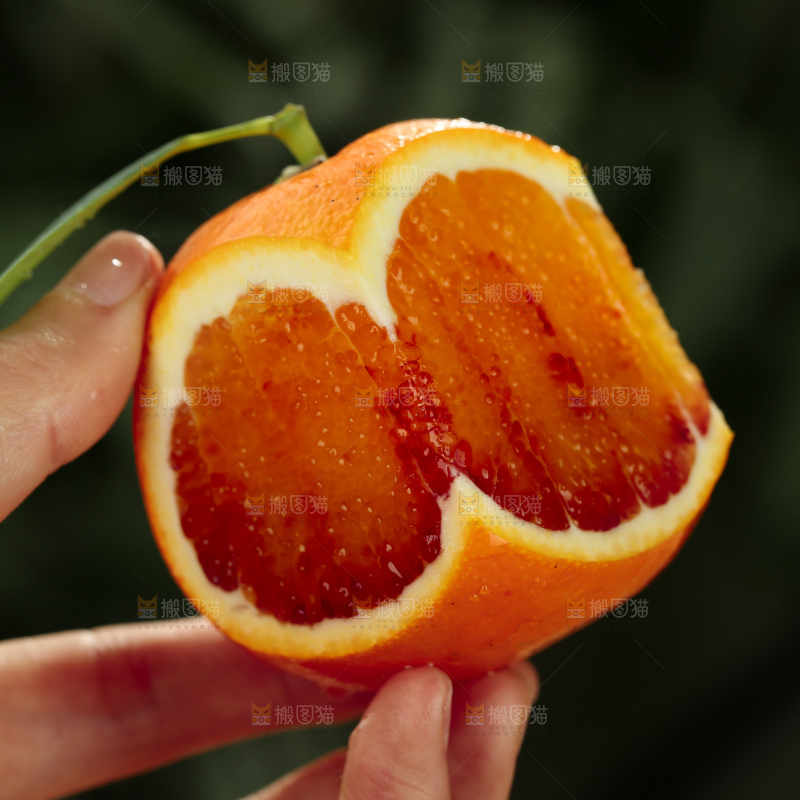 塔罗科血橙