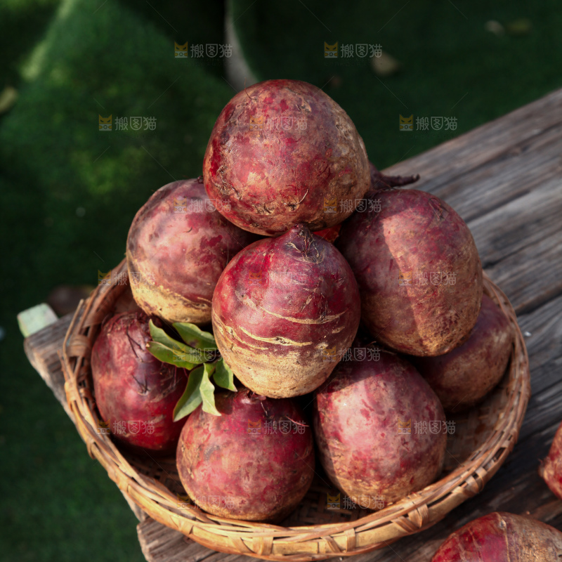 甜菜根