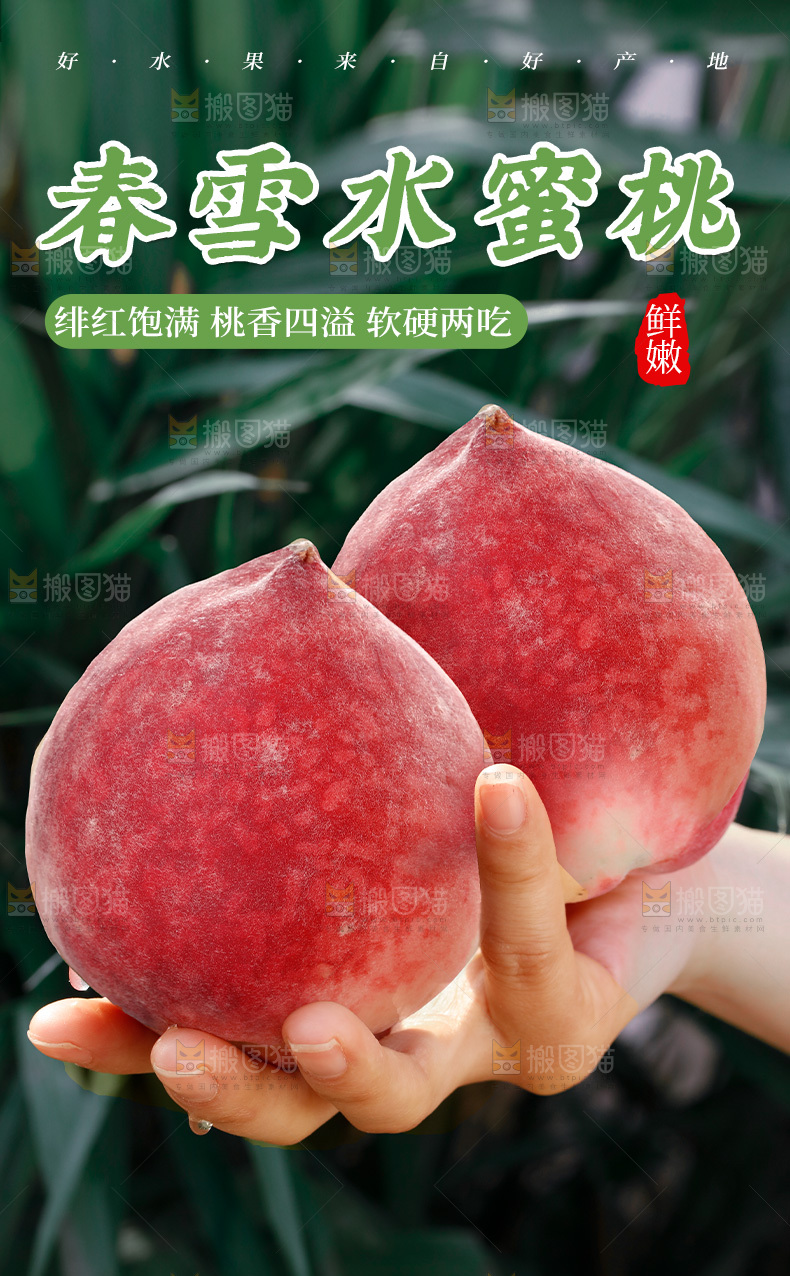 春雪水蜜桃详情页