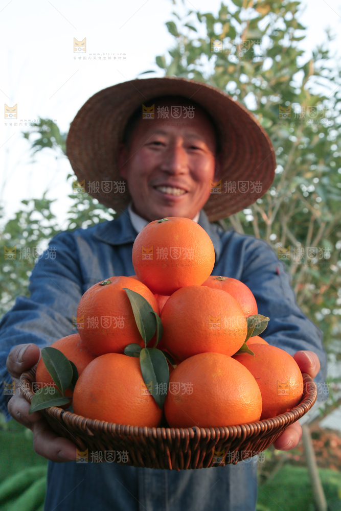 塔罗科血橙