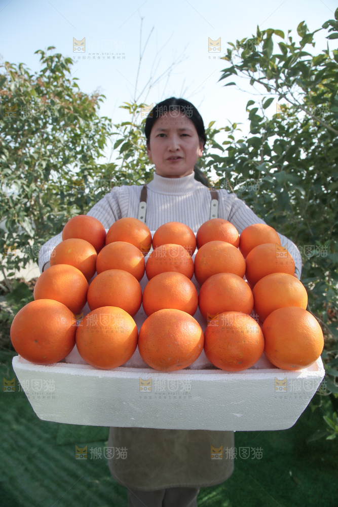 塔罗科血橙