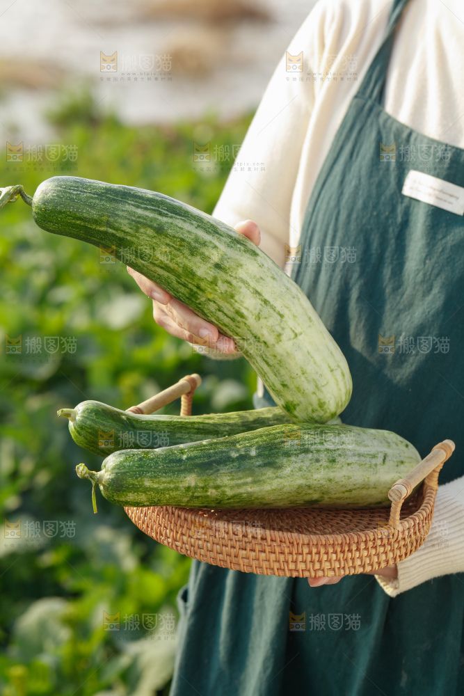 羊角蜜甜瓜