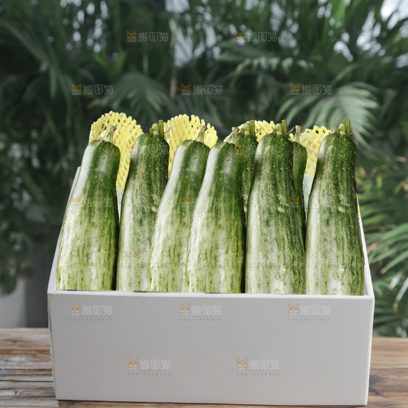 羊角蜜甜瓜礼盒