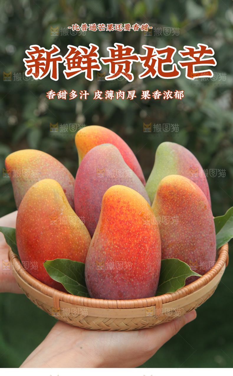 贵妃芒详情页