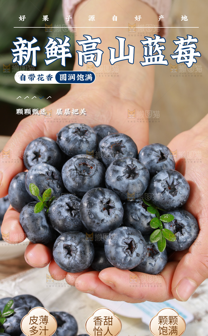 新鲜蓝莓详情页