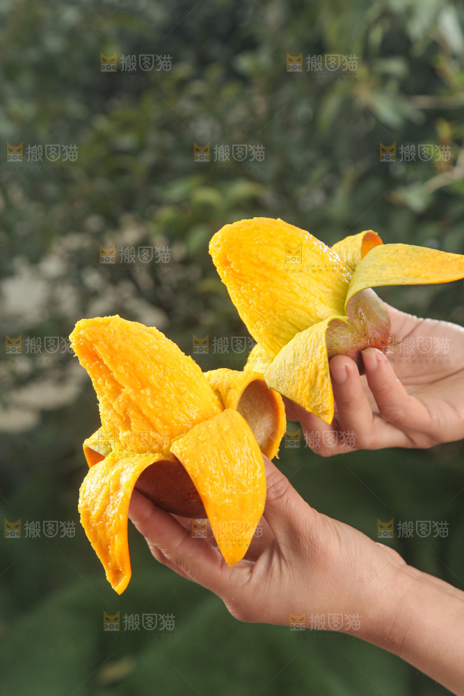 贵妃芒