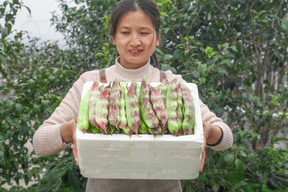 油豆角