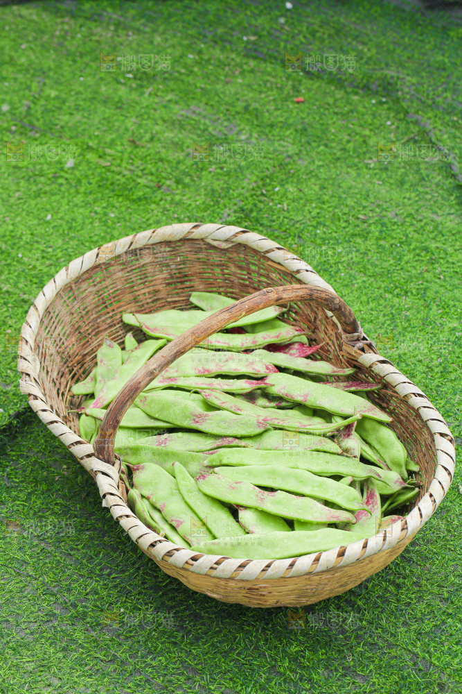 油豆角
