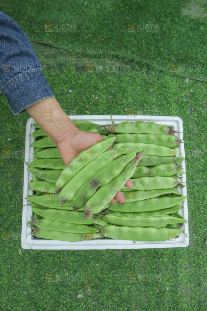 油豆角