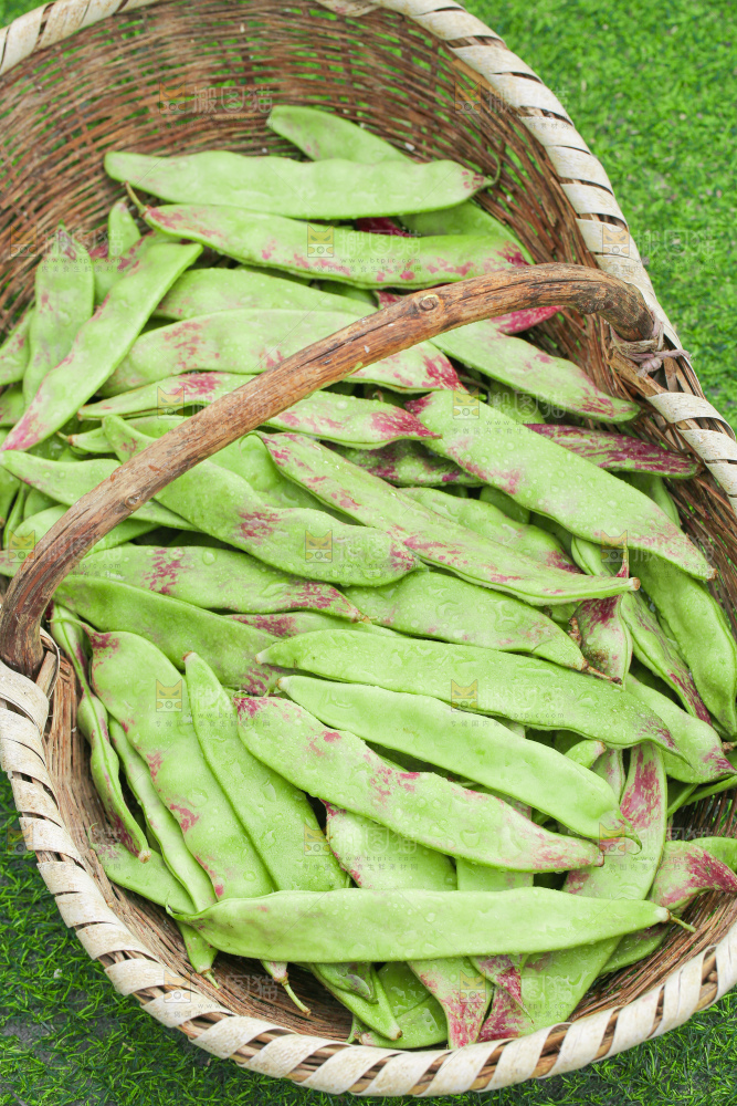 油豆角
