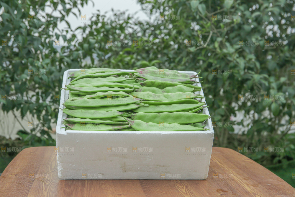 油豆角