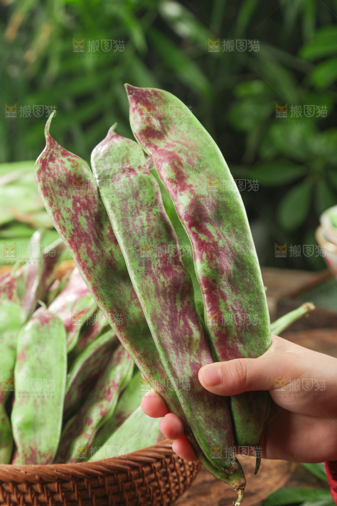 油豆角