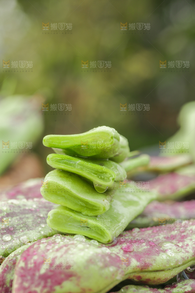 油豆角
