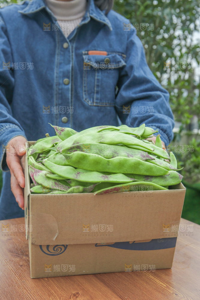 油豆角