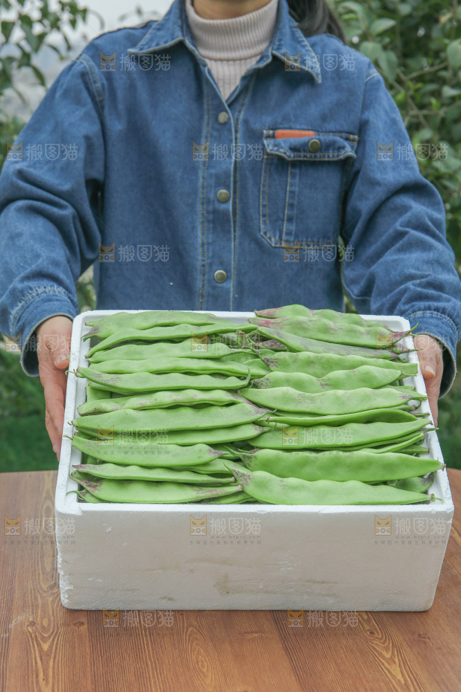 油豆角