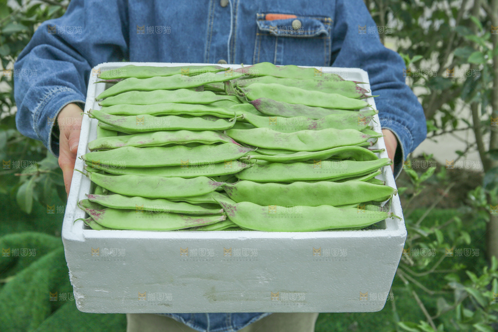 油豆角