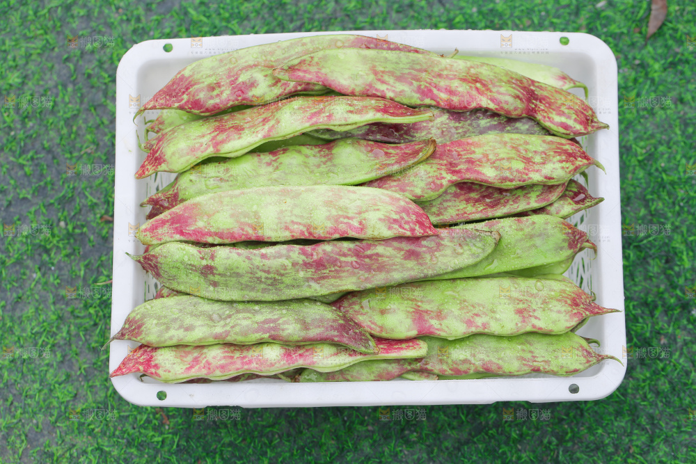 油豆角