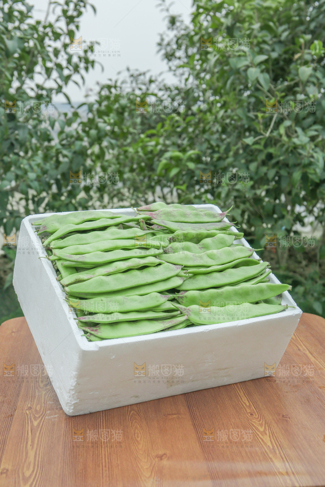 油豆角