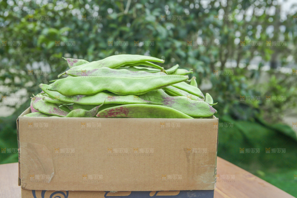 油豆角