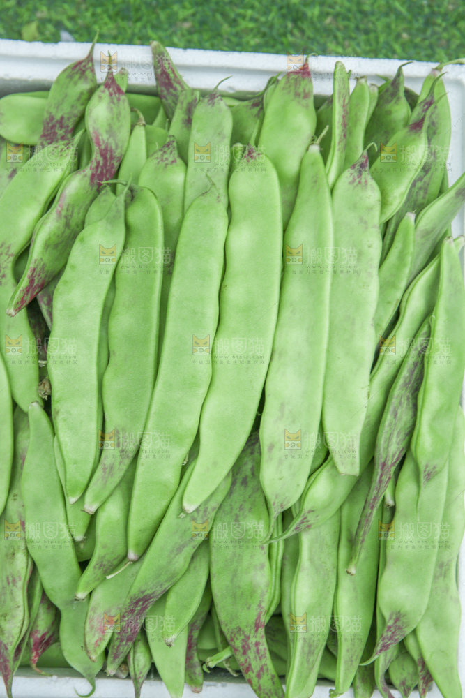 油豆角