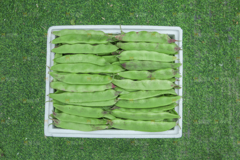 油豆角