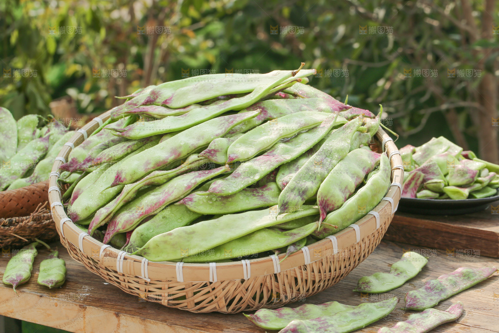 油豆角
