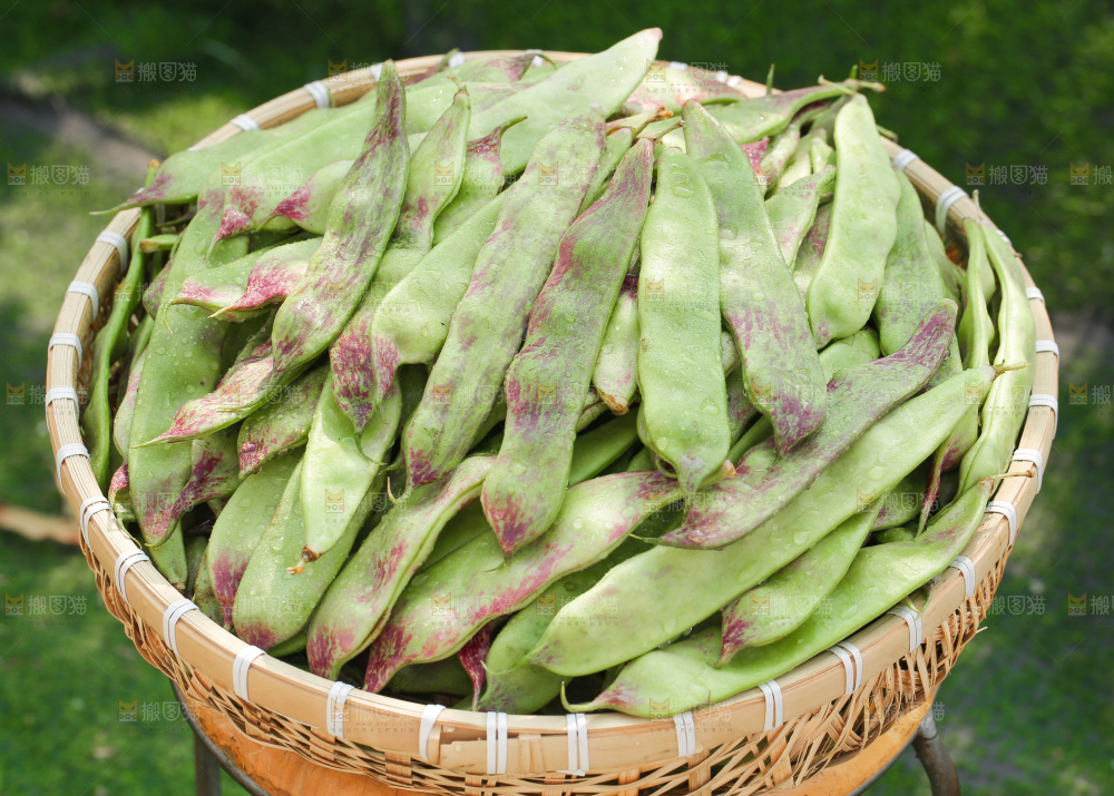 油豆角