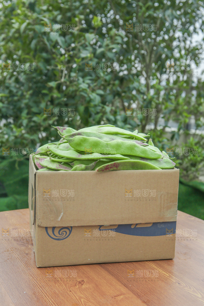 油豆角