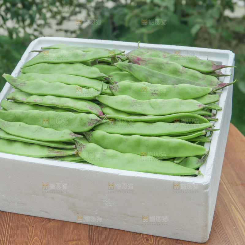 油豆角