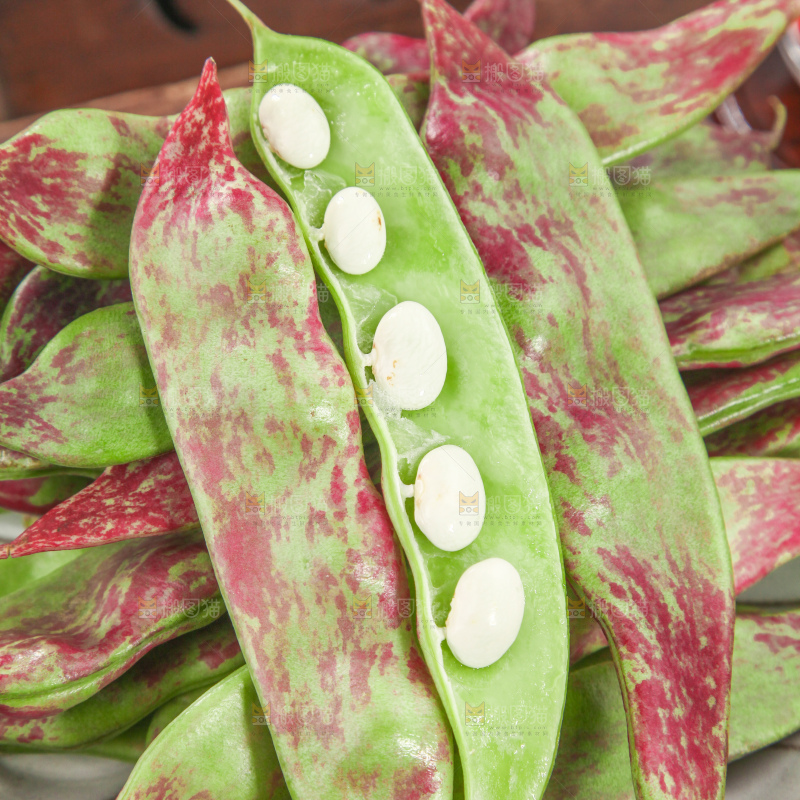 油豆角