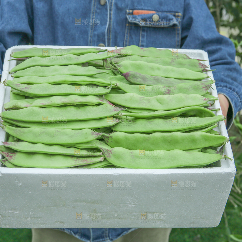 油豆角