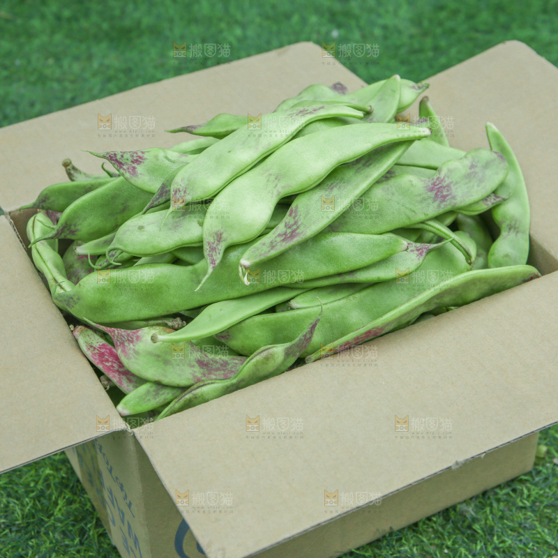 油豆角