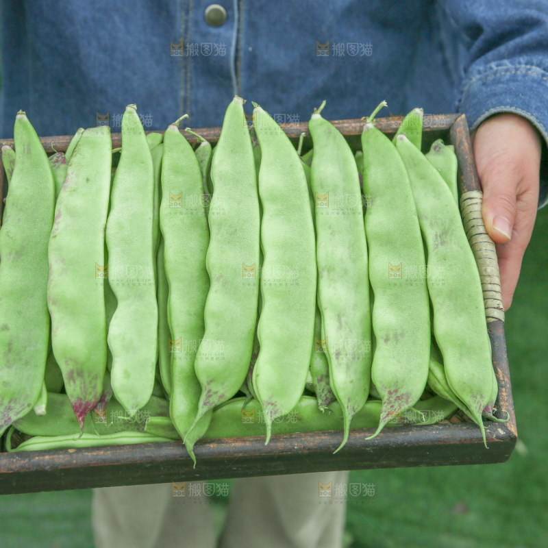 油豆角