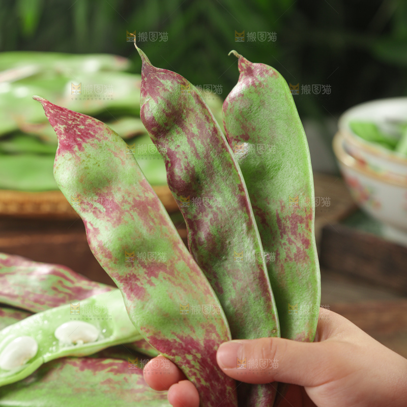 油豆角
