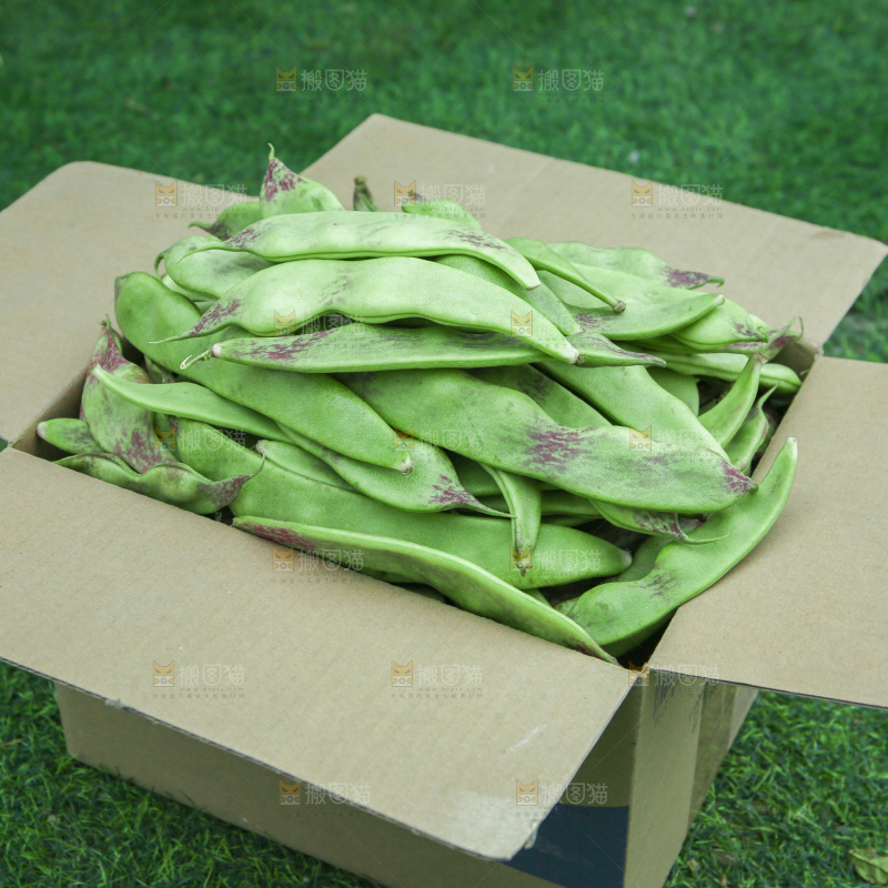油豆角