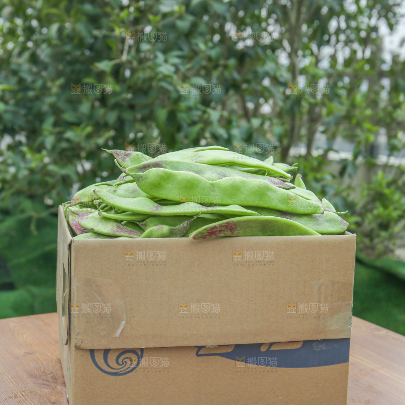 油豆角