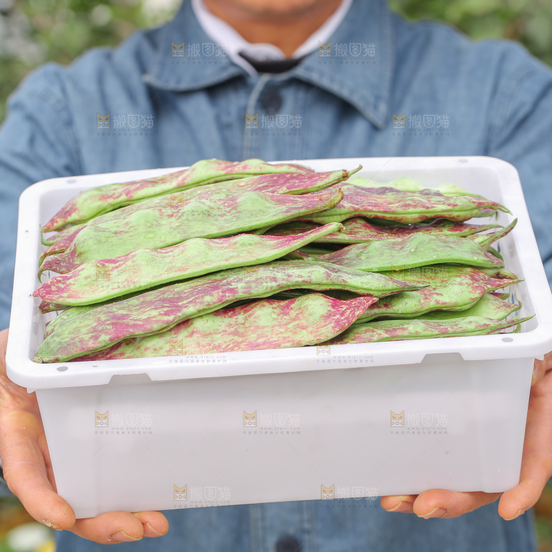 油豆角