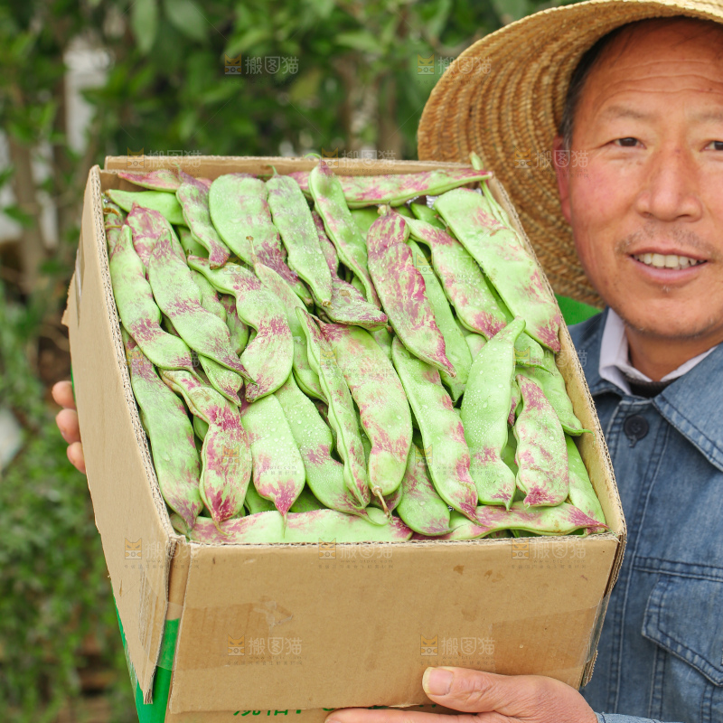 油豆角