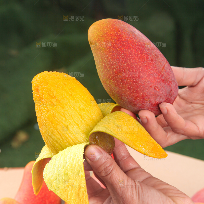 贵妃芒