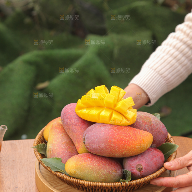 贵妃芒