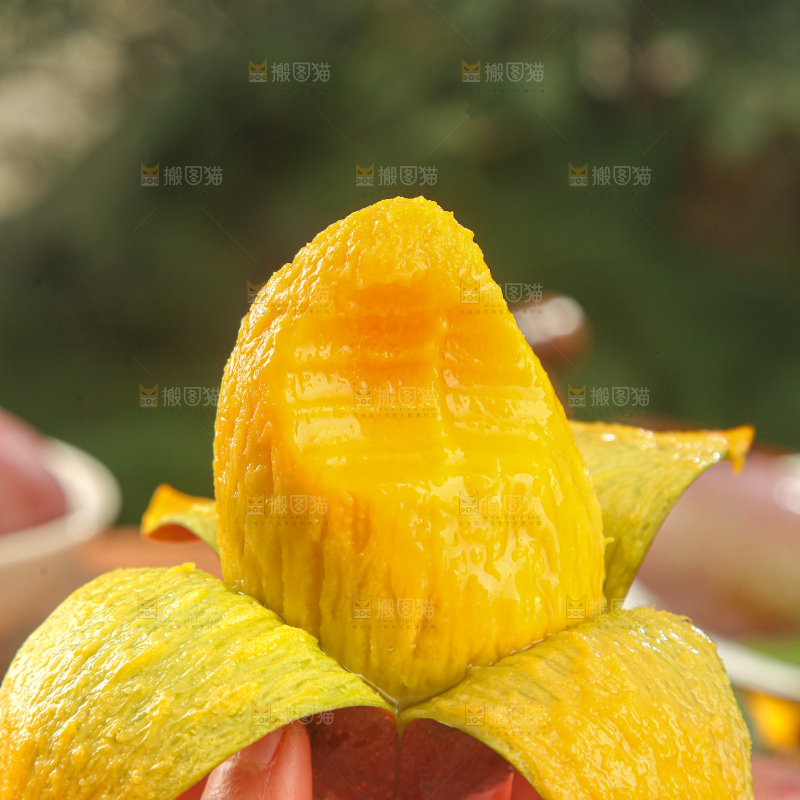 贵妃芒
