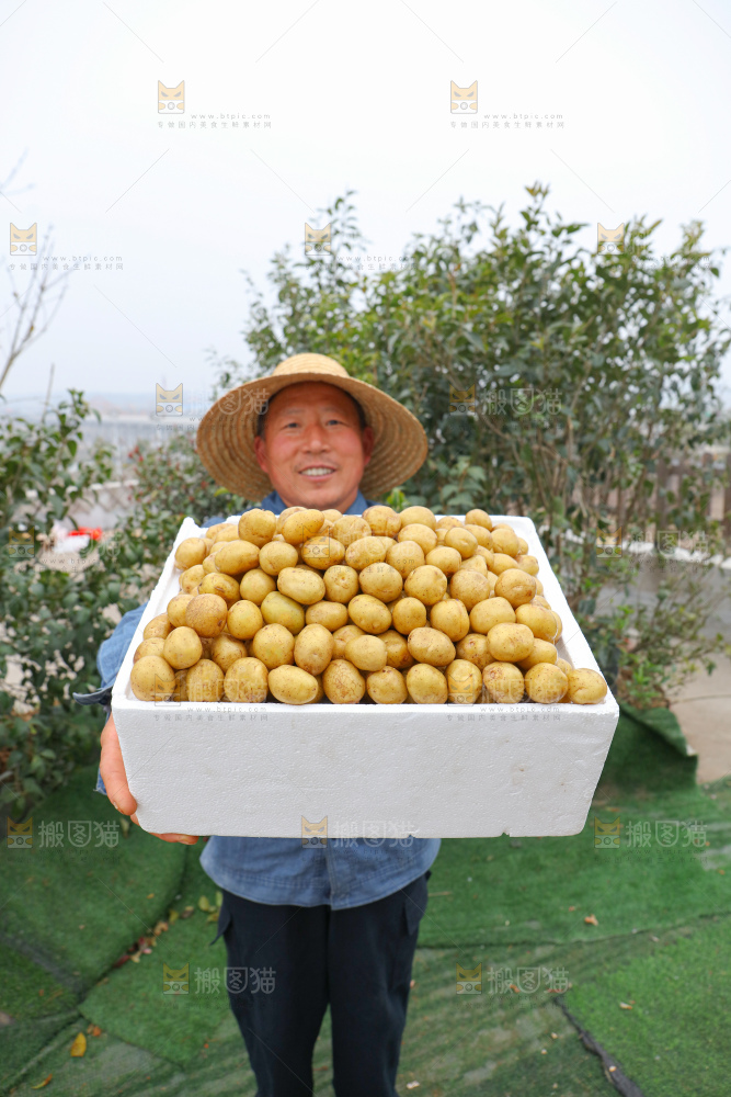 小土豆