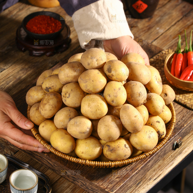 小土豆